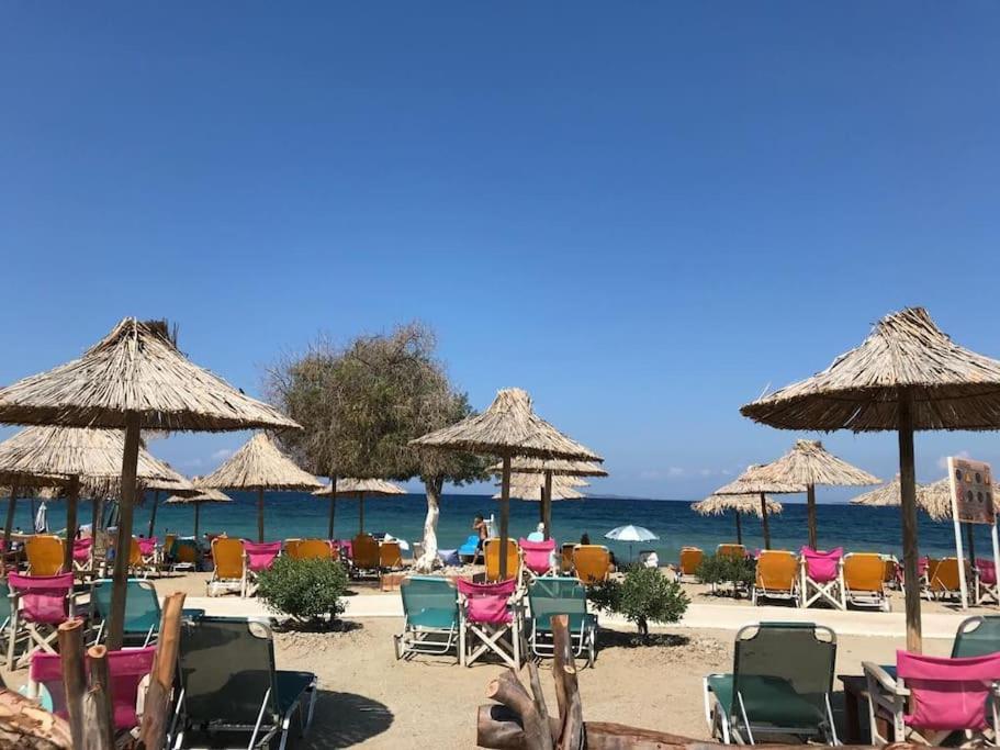 Seaside Breeze - 2 Bdrm In Palaio Faliro - Sea View Αθήνα